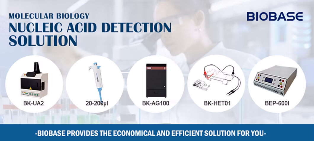 Biobase Nucleic Acid and Protein Electrophoresis Tank Horizontal for Gene Test