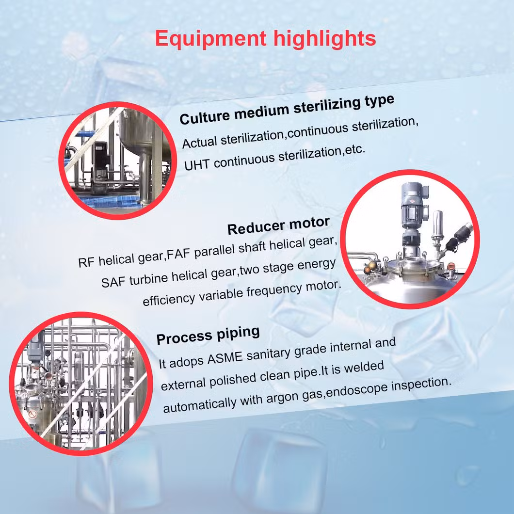 New Design Bioreactor System Fermentation Food Beverage Processing Essential Manufacturing Plants
