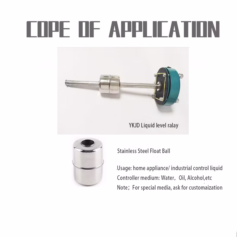 Cylindrical Stainless Steel Magnetic Float Ball for Level Switch Water