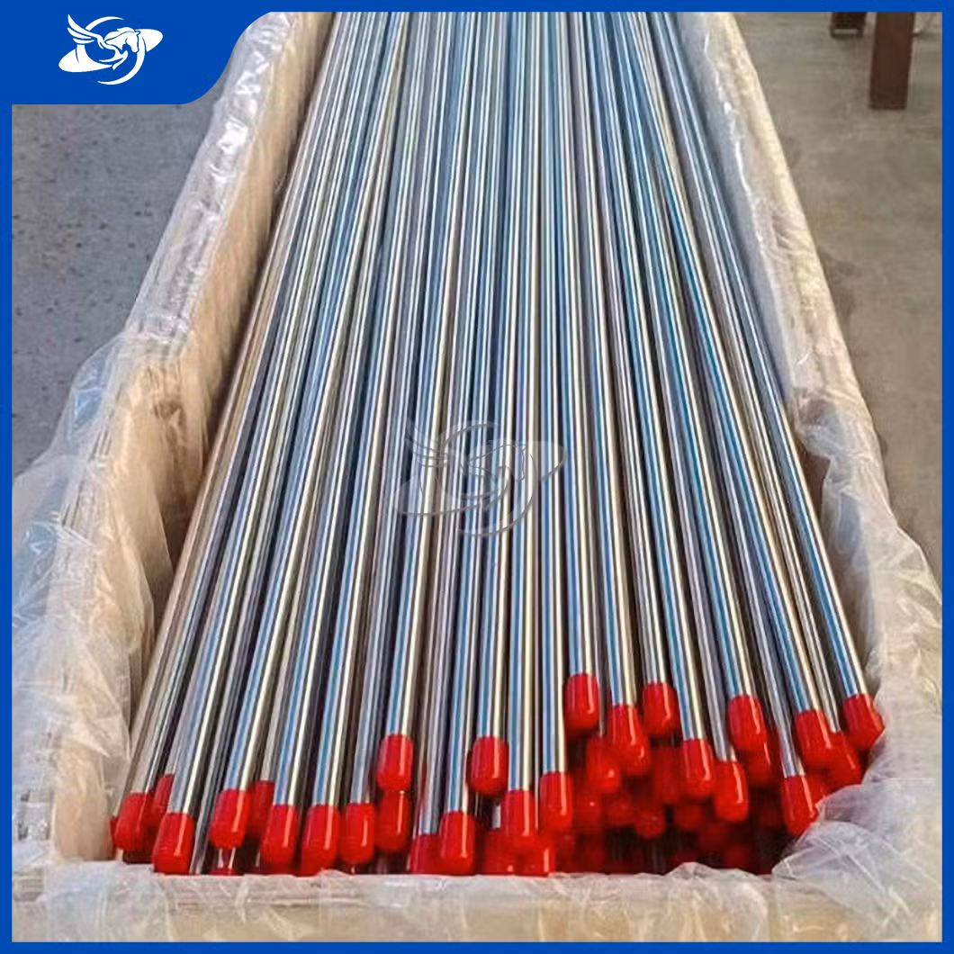 Longyu 300 Series Welded Polished Galvanized Surface Round Stainless Steel Seamless Pipe China Wholesalers Used in Biopharmaceuticals