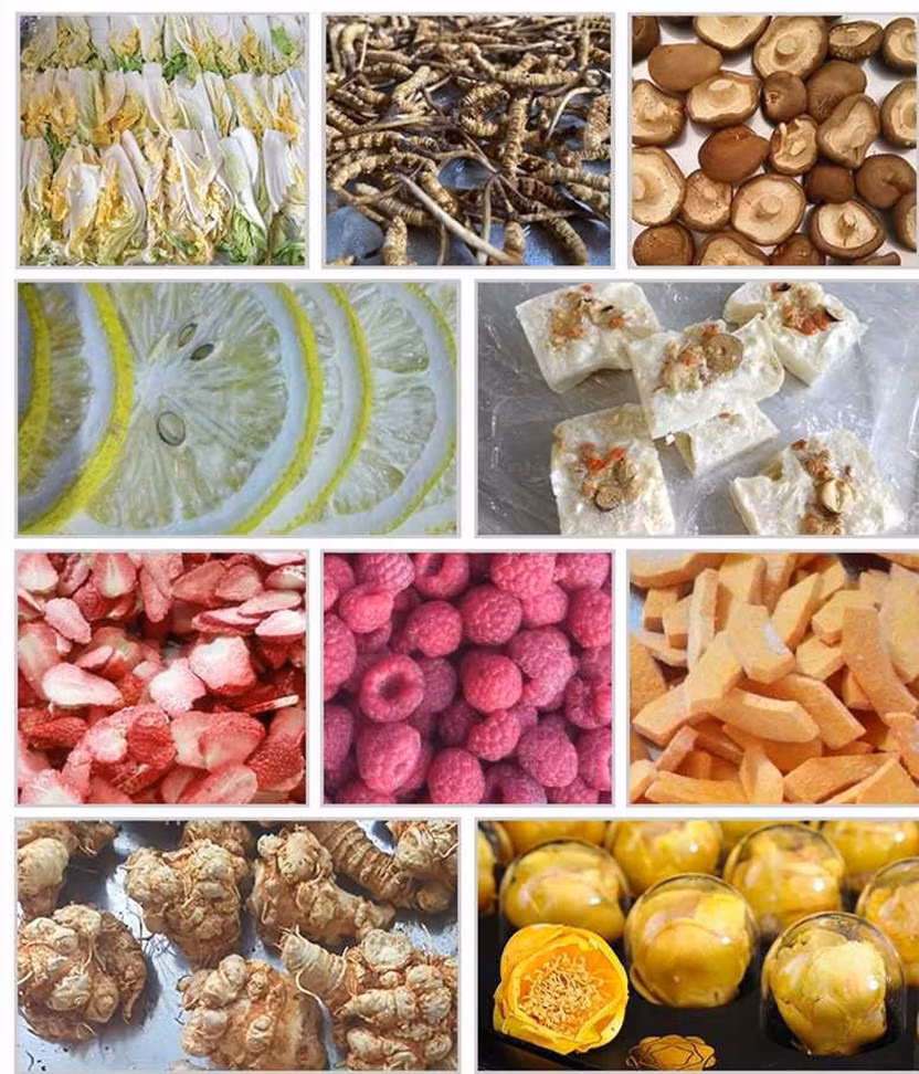 Ht-03fa Freeze Drying Machine for Vegetables and Fruit Processing