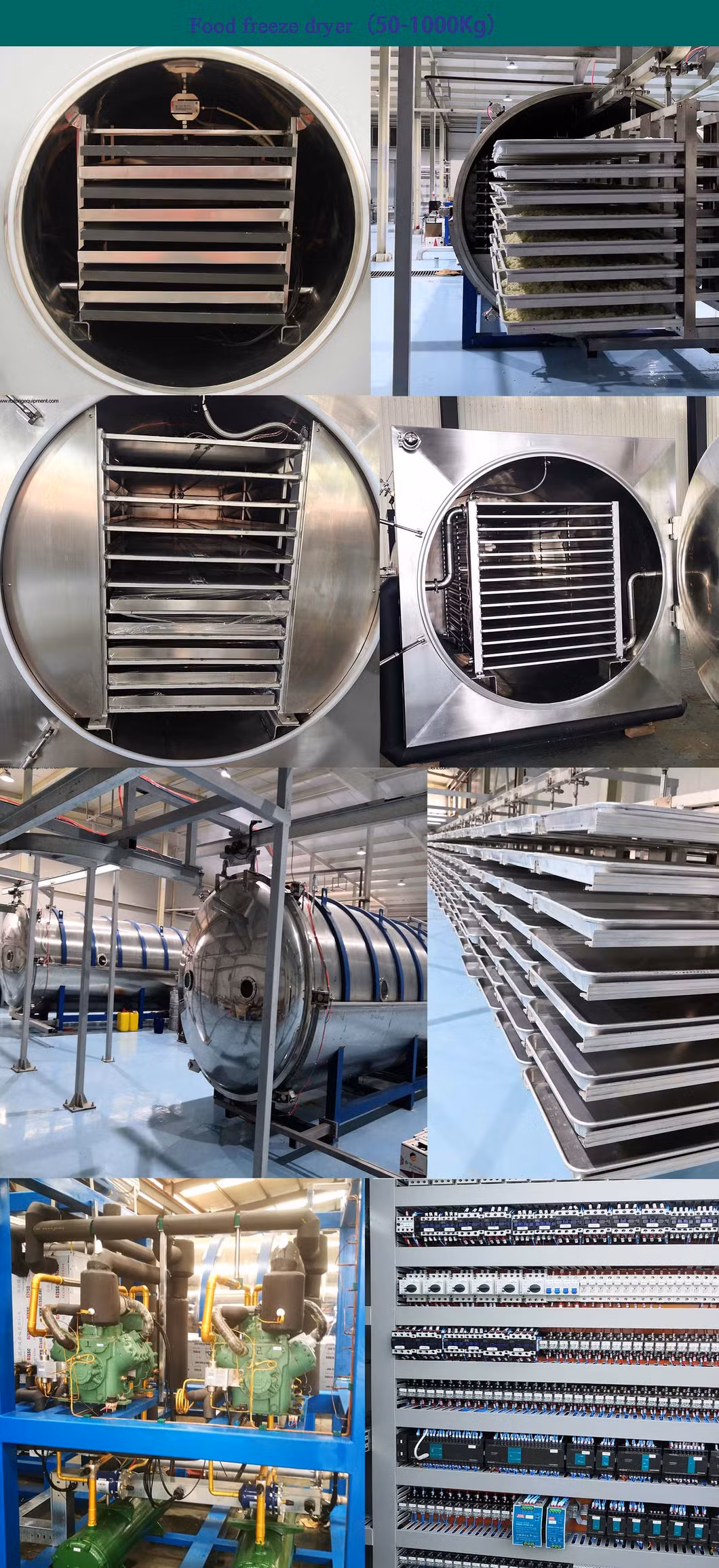 Protein Freeze Dryer Machine, 100L Lyophilizer for Biotech Product