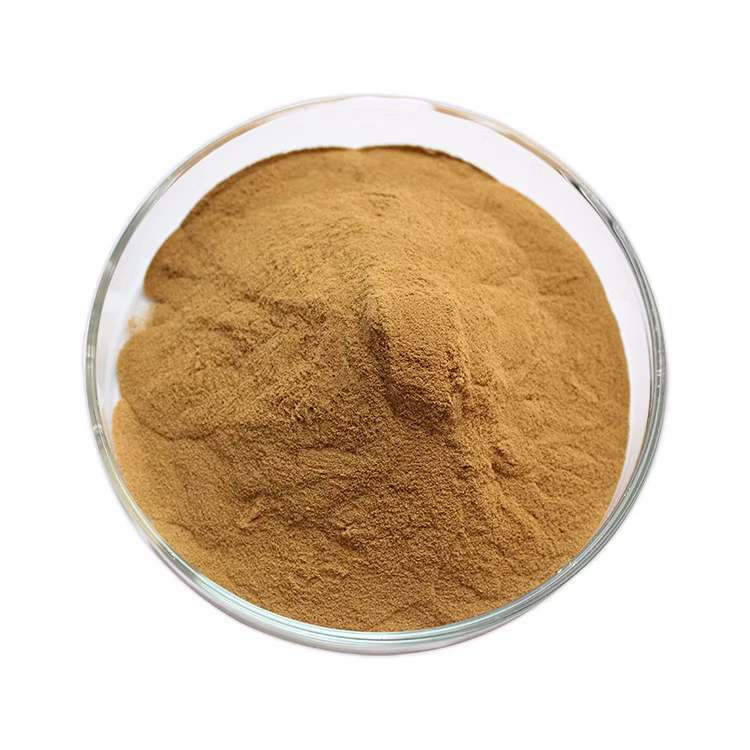 Natural Artichoke Extract Used as a Herbal Remedy for Indigestion