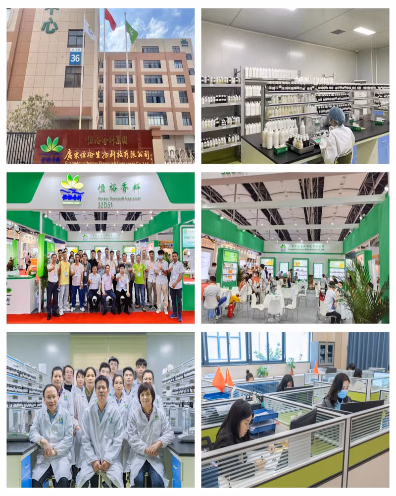 Hengyu High Concentrate Fruit Flavour Liquid Flavor for Fruit Flavored Aroma Vap E Liquid/E Cigars Juice for Indonesia Malaysia Vietnam Korea Dubai Germany