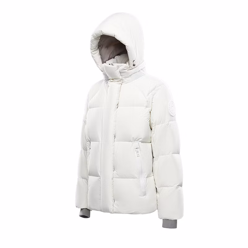 Winter Warm Padded High Quality White Goose Down Jacket Puffer Jacket with Hood