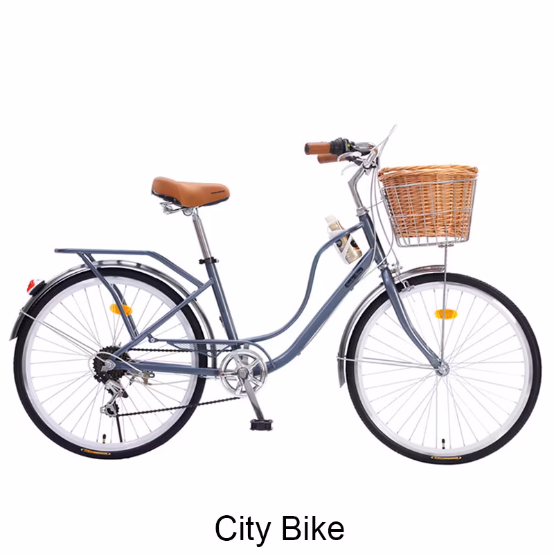 Hot Sale Waterproof Bicycle Parts Accessories Cycle Price Adults Bicycles Bike Bag