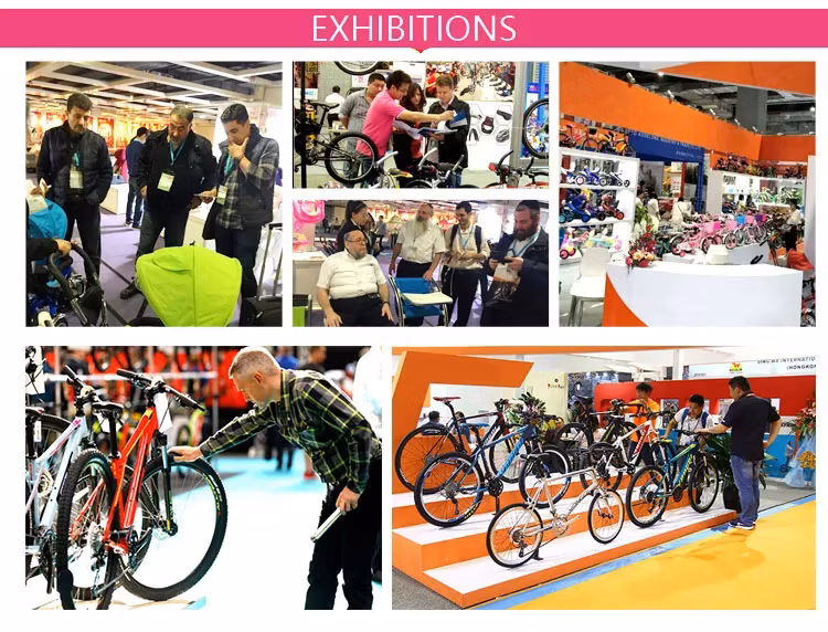 Hot Sale Waterproof Bicycle Parts Accessories Cycle Price Adults Bicycles Bike Bag