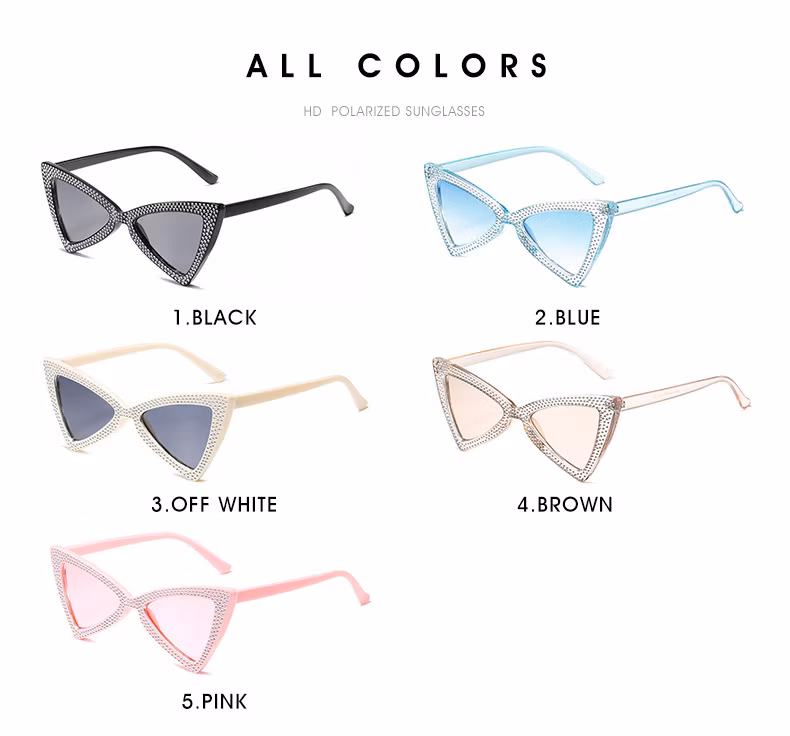 2023 Hot Cat Eye PC Amazon Glasses Wholesale UV Protection for Man and Woman Sunglasses