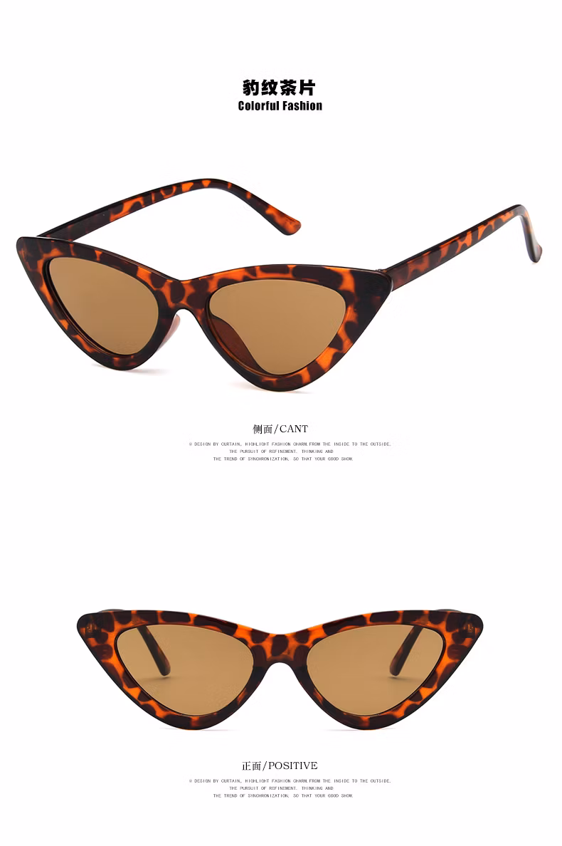 Super Cheap Cat Eye Sunglasses Girls Fashion Glasses Sunglasses