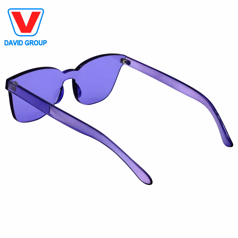 Logo Printed Plastic Acrylic Sunglasses for Small Gifts