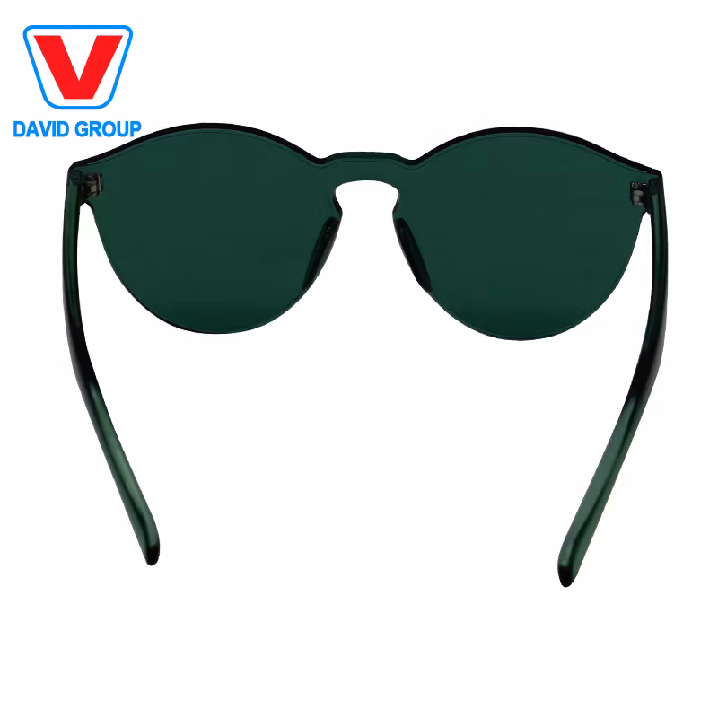 Logo Printed Plastic Acrylic Sunglasses for Small Gifts