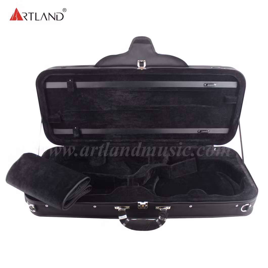 Light Case for 2 Vlilins