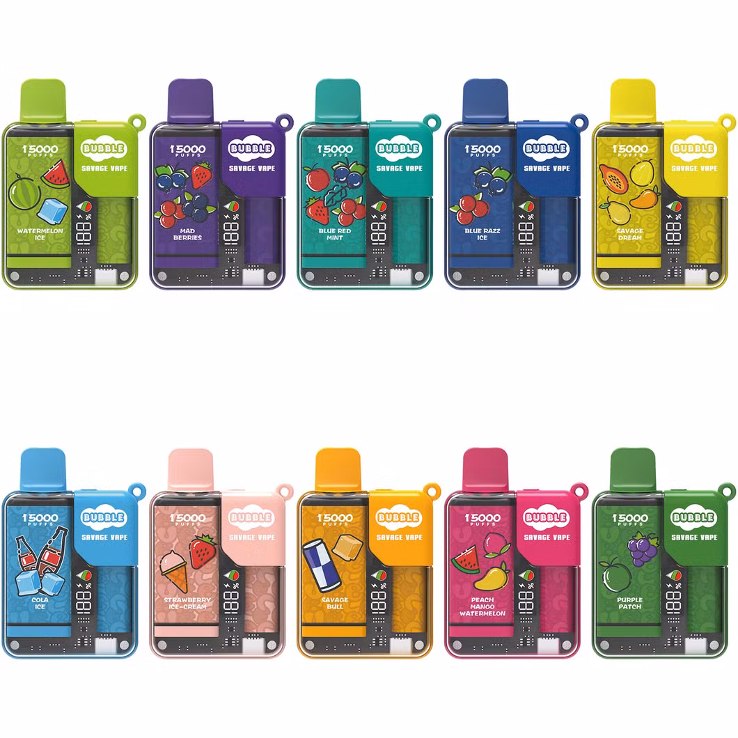 2024 New Released 25ml E-Liquid Type-C Rechargeable Disposable Vape Pod Savage Bubble 15000 Puff 10 Flavors Disposable Vape 13000 Puffs Bar Child Lock Function
