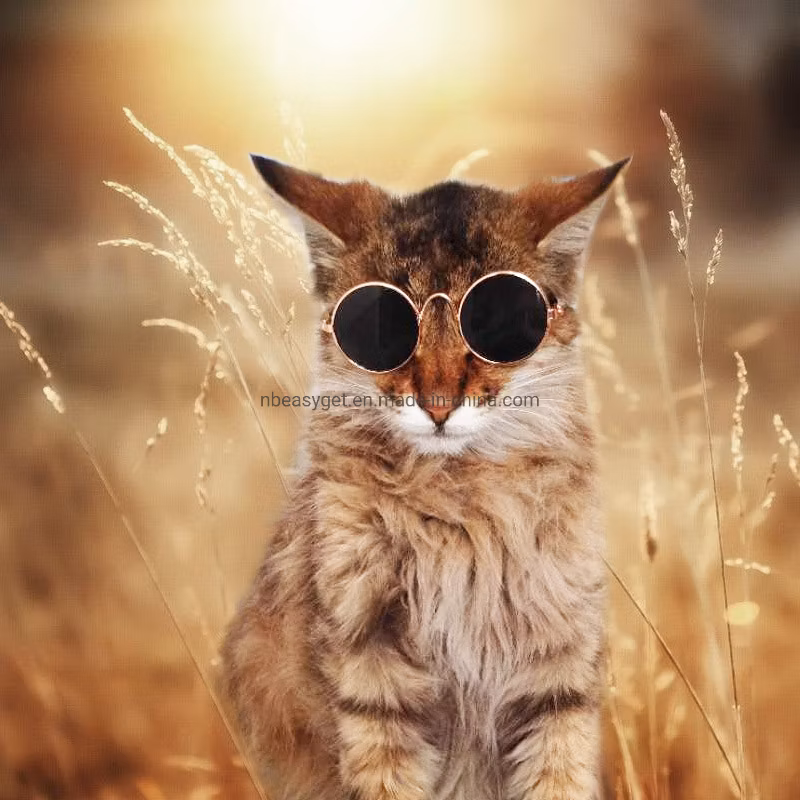 Cat Dog Sunglasses Pet Eye-Wear for Small Doggy Pet Products Photos Props Accessories Pet Supplies Cats Glasses Fashion Trend Esg12560