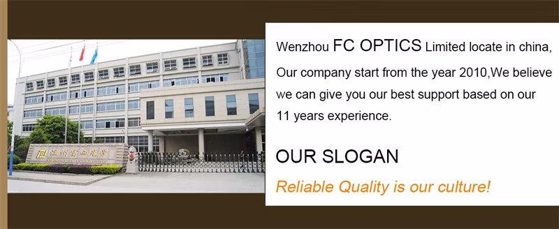 Nice Quality Small MOQ for Women with CE Injection Acetate Sunglasses