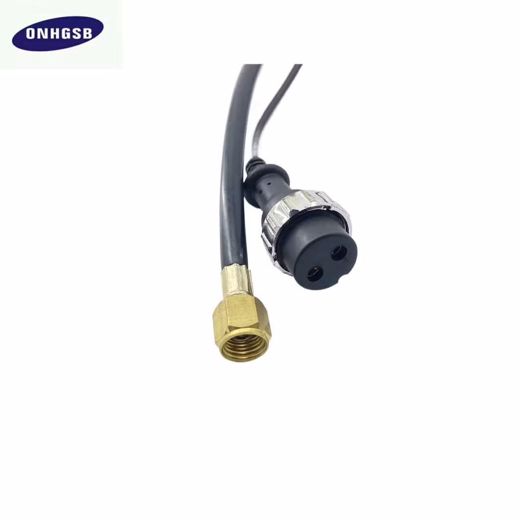 Manufacturer Gloorr Type Switzerland Acetylene Gas Welding Torch for Gas Gun Korean 200A