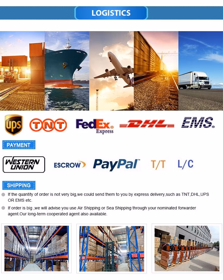 2023 Hot &amp; Newest Updated Version MMA 250 Cheaper Price Arc Welders IGBT Portable Mini Electric Inverter Welding Machine