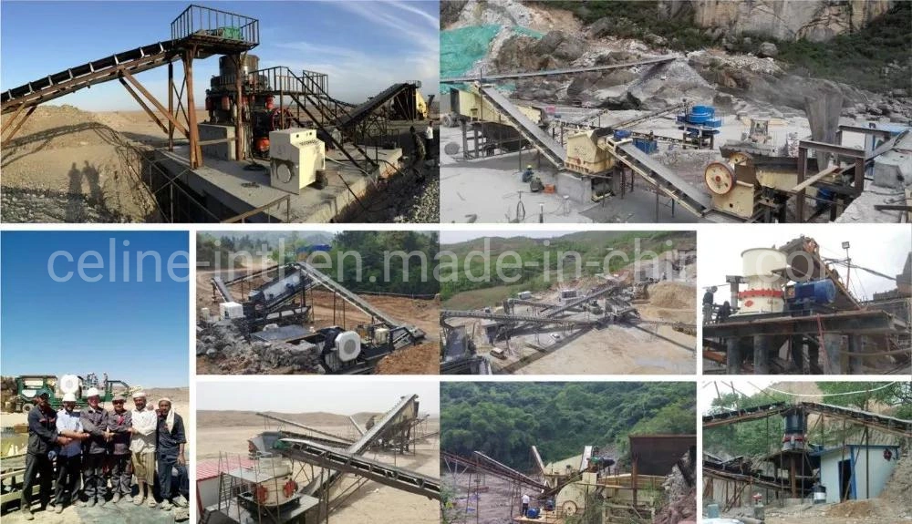 River Pebble/Granite/Basalt/Iron Ore/Limestone/Quartz Stone/Diabase/Construction Waste Crushing Jaw Crusher for Multi Usage