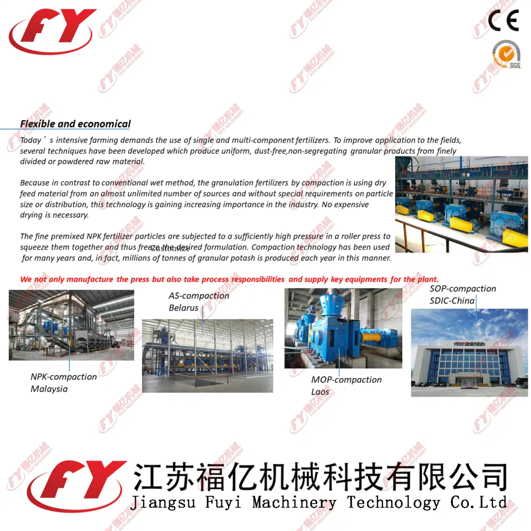 Scientific and Rational Design Earthwormcast With CE Certificate Granulator