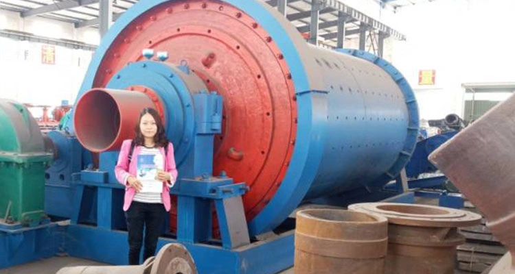 Hot Sale Ball Mill Rock Crusher/Gold Ore Ball Mill