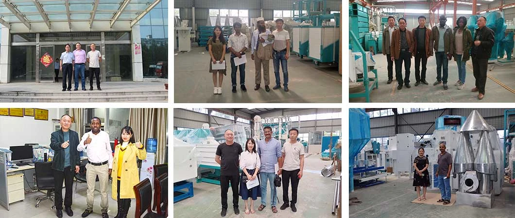 Roller Mill Vs Ball Mill Roller Mill Vs Mixer Roller Mill Vs Hammer Mill for Cattle