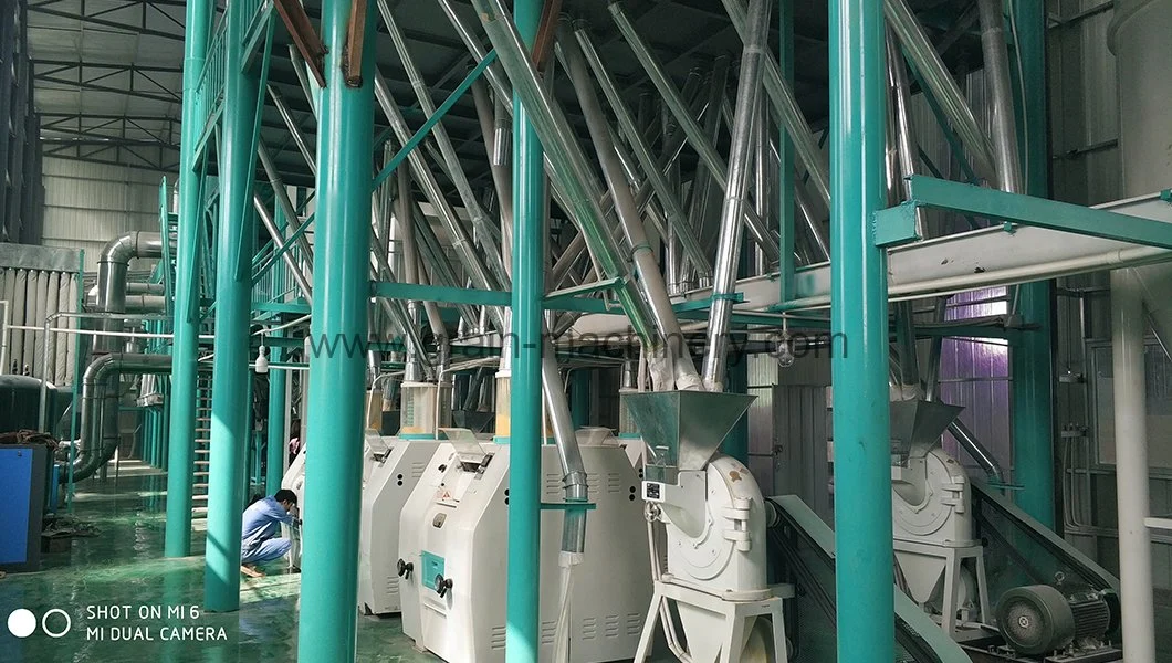 Roller Mill Vs Ball Mill Roller Mill Vs Mixer Roller Mill Vs Hammer Mill for Cattle