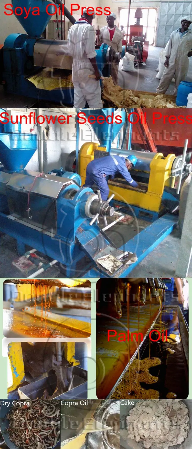 6yl-95A Oil Expeller, Oil Mill