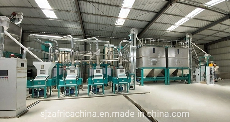 Complete 20t/24h Maize Mill for Nigeria Kenya Zambia