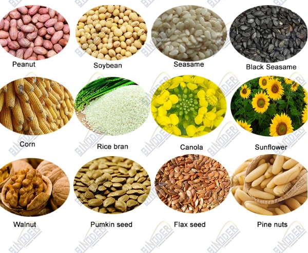 Oil Hydraulic Press Machine 200kg/H Olive Peanut Sesame Seeds Oil Extraction Mill