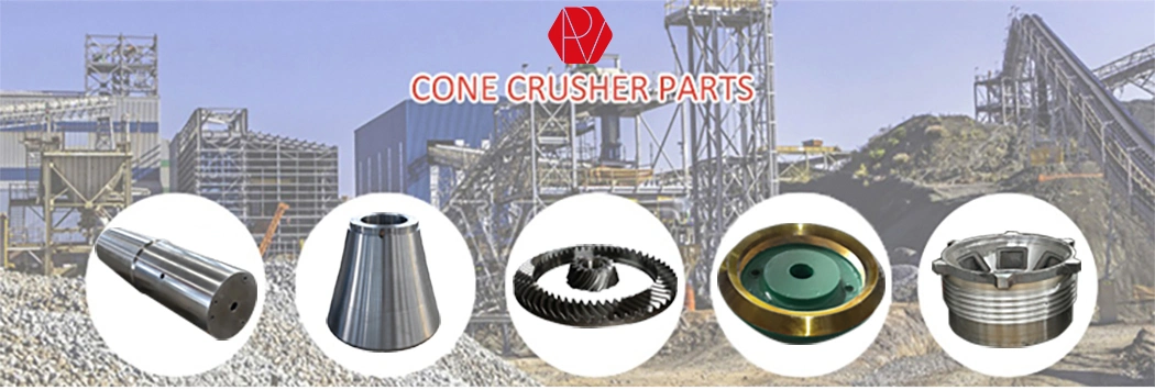 Cone Crusher Gear and Pinion Suit for Shanbao Terex