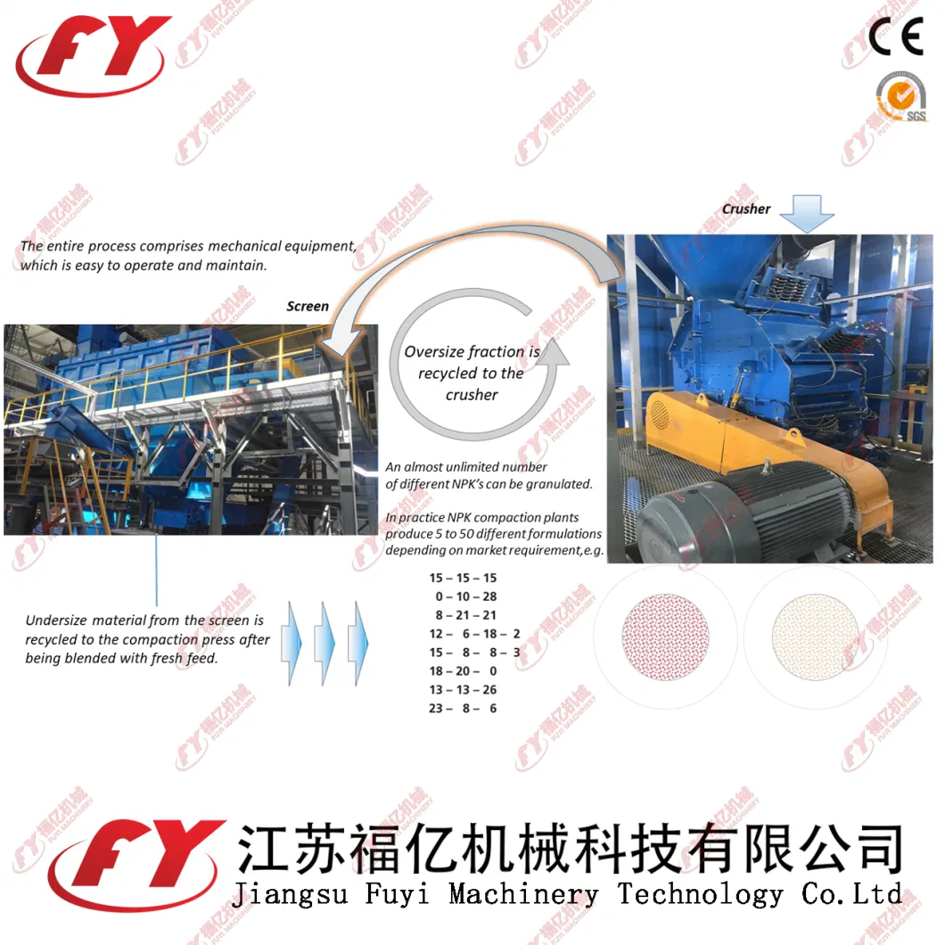 Scientific and Rational Design Earthwormcast With CE Certificate Granulator