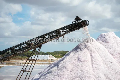 Rock Sea Industrial Salt Crushing Washing Making Machine