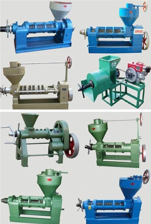 Integrated electric driven effective rapeseed sunflower peanut palm ground nut screw cold press oil press making processing pressing machine oil mill