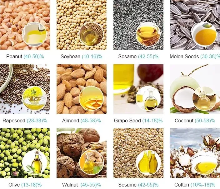 High Quality Rape Seed Oil Making Machine Peanut Sunflower Soybean Oil Press Machine Philippines Coconut Baobab Seeds Canola Olive Pressing Stainless Steel Mill