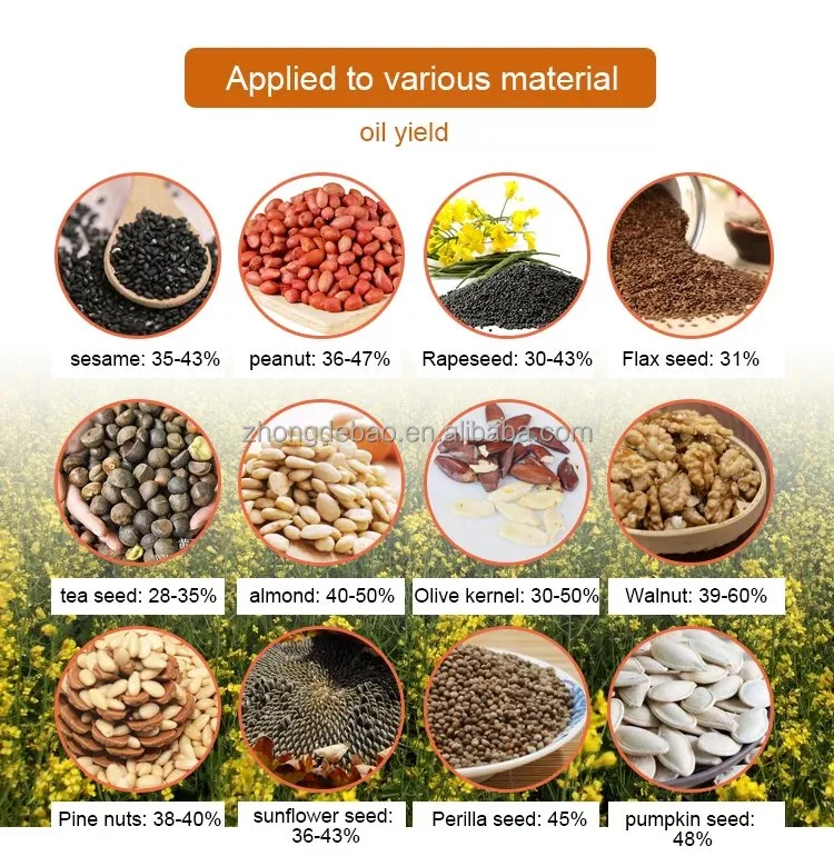 Palm Kernel Peanut Soybean Sunflower Coconut Cooking Oil Presser Machine Automatic Cold Press Oil Mill