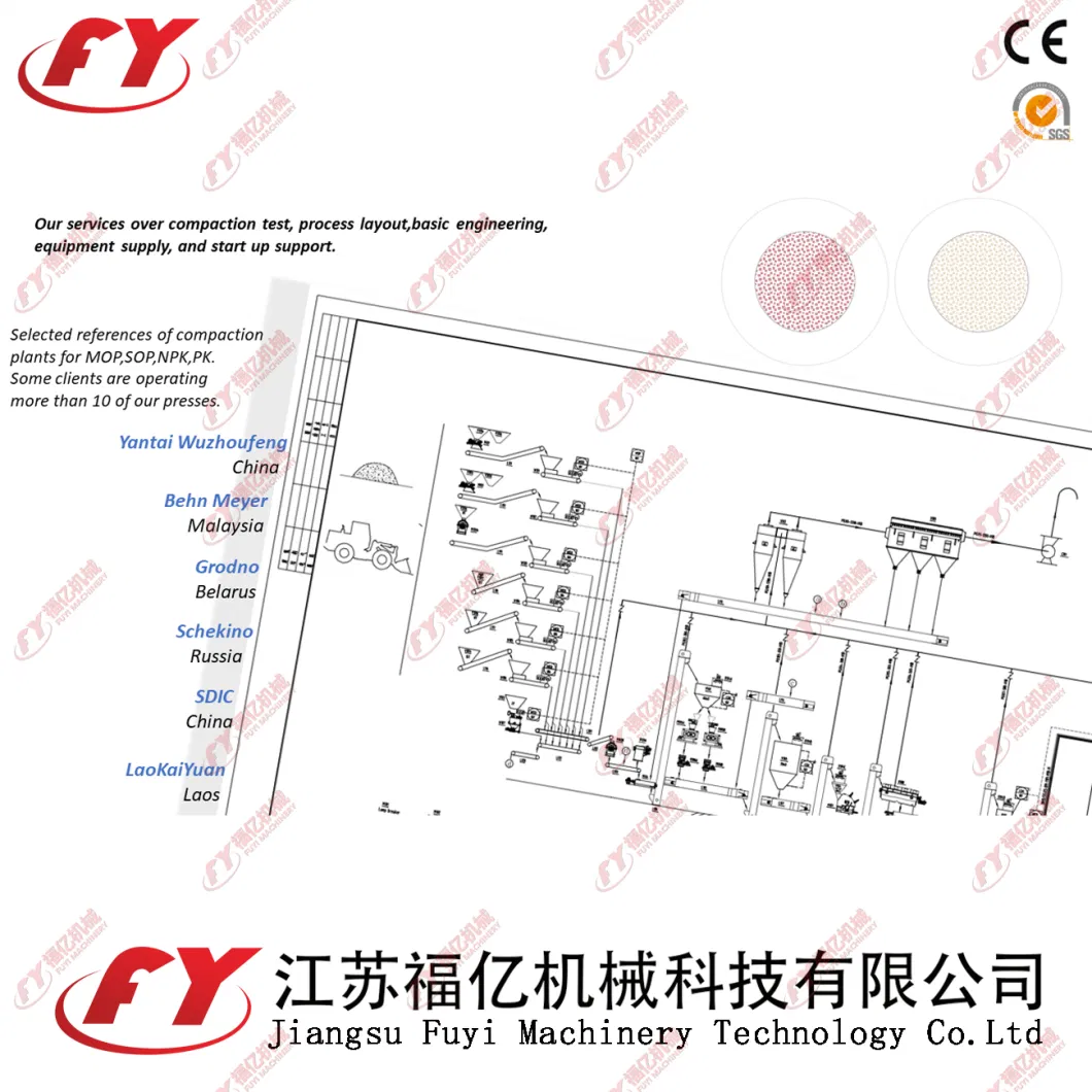 Scientific and Rational Design Earthwormcast With CE Certificate Granulator