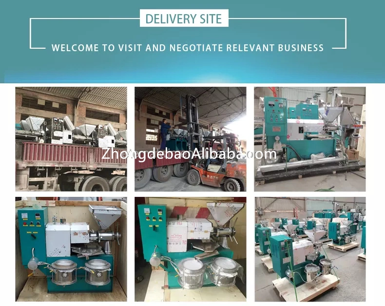 High Quality Rape Seed Oil Making Machine Peanut Sunflower Soybean Oil Press Machine Philippines Coconut Baobab Seeds Canola Olive Pressing Stainless Steel Mill