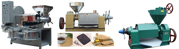 Oil Hydraulic Press Machine 200kg/H Olive Peanut Sesame Seeds Oil Extraction Mill