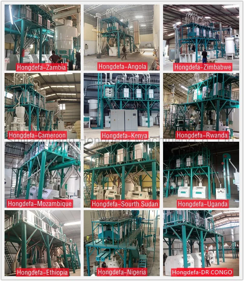 Popular 50t/24h Corn Flour Mill Machine with Auto-Pack Weight Scale