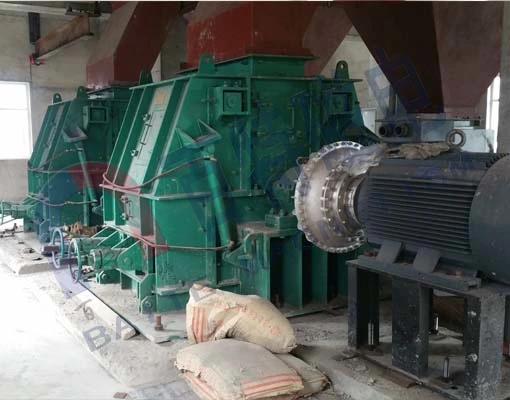 Pch1012 Ring Hammer Crusher/Long Life Heavy Ring Hammer Crusher/Crusher Machine for Coal Handling System