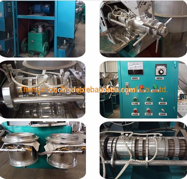 High Quality Rape Seed Oil Making Machine Peanut Sunflower Soybean Oil Press Machine Philippines Coconut Baobab Seeds Canola Olive Pressing Stainless Steel Mill