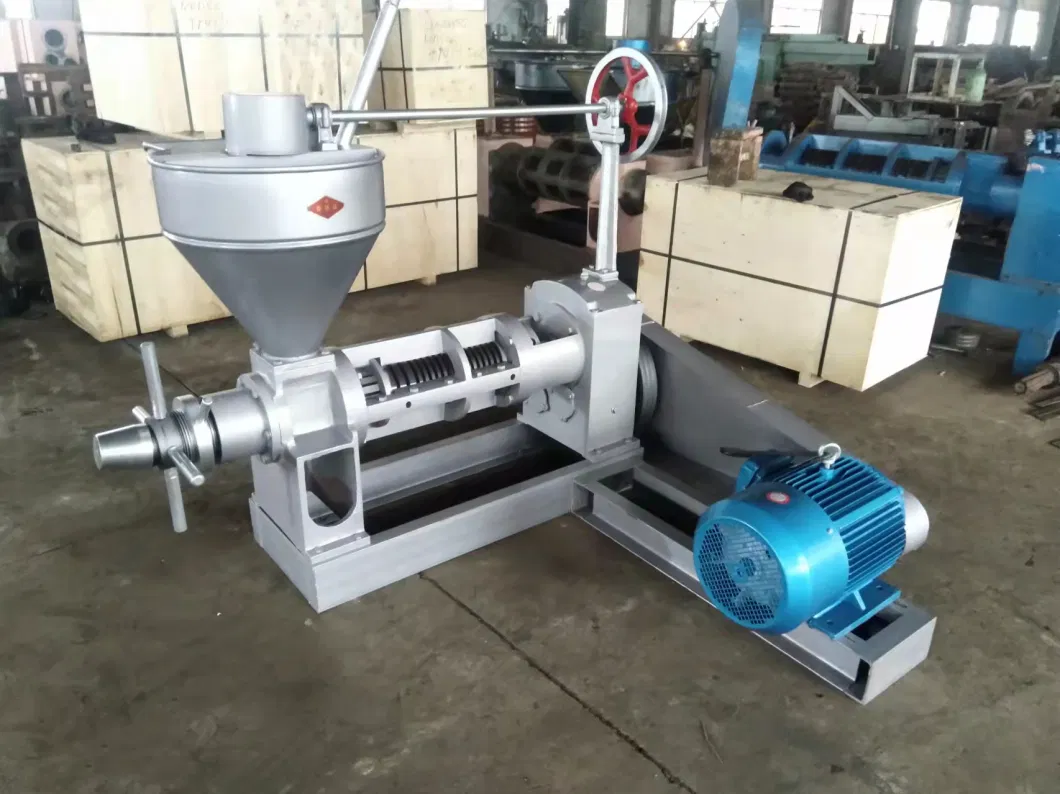 Palm Kernel Peanut Soybean Sunflower Coconut Cooking Oil Presser Machine Automatic Cold Press Oil Mill