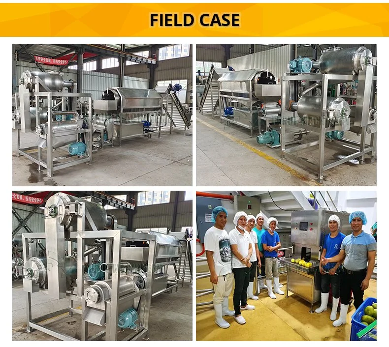 Fruit Juice Processing Machines Fruit Processing Plant Passion Fruit Crusher