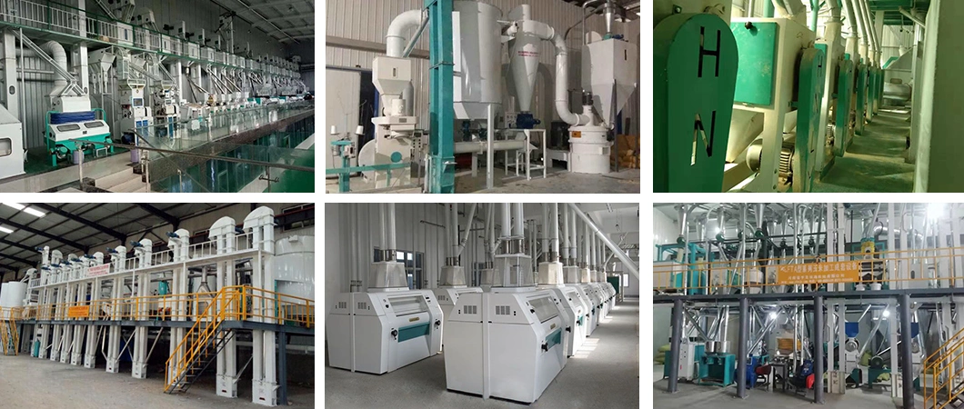 Roller Mill Vs Ball Mill Roller Mill Vs Mixer Roller Mill Vs Hammer Mill for Cattle