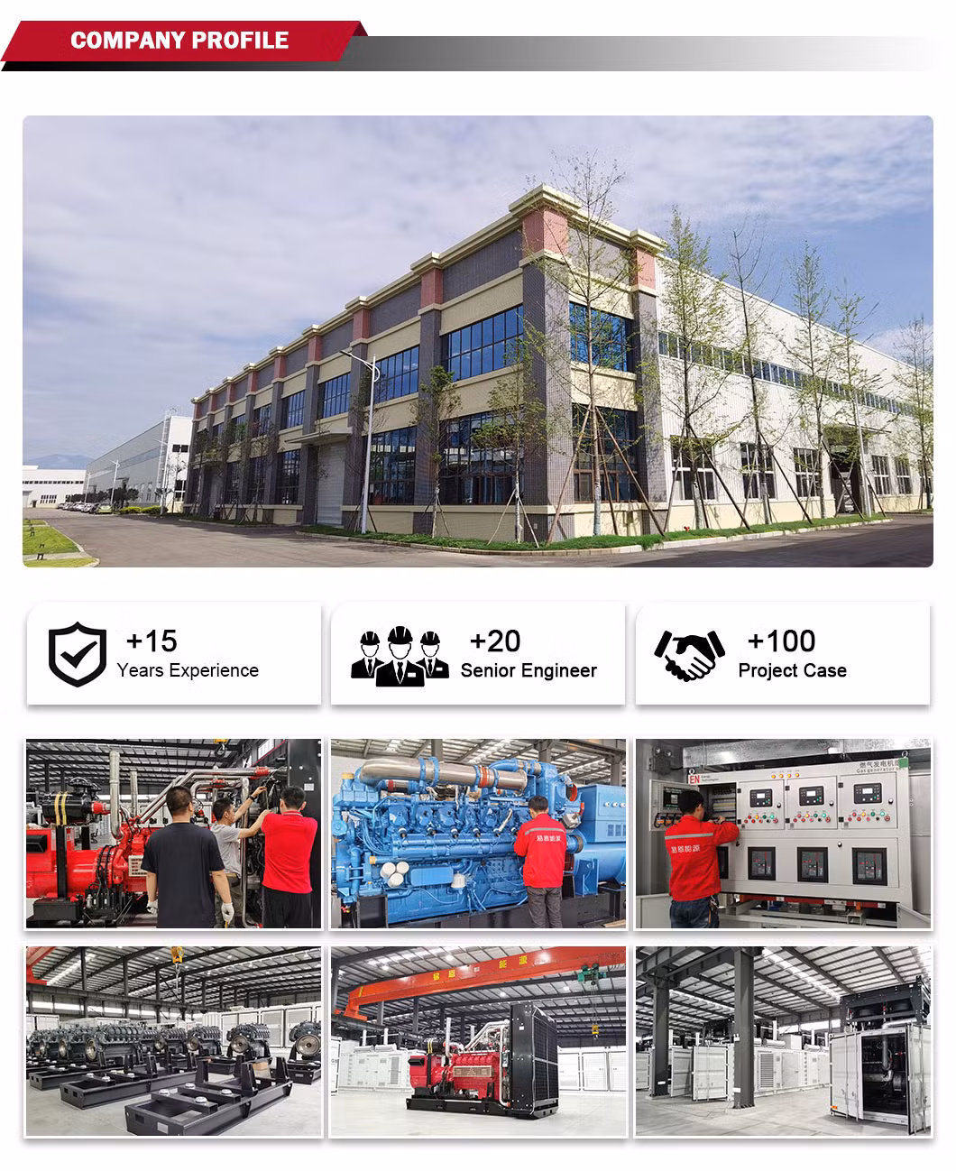 1500kw Natural/Biogas/Biomass/LPG/Propane/Methane/Hydrogen/High Power/Container/Dual Fuel/Sewage/Coke Gas Generator Set for Marine, Hospitals, Shopping Malls