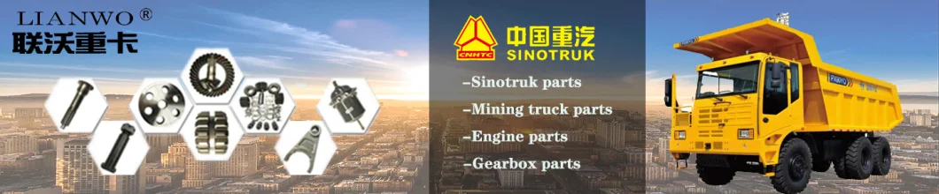 Sinotruk HOWO A7 Truck Wechai Engine Part Cab Parts Corrugated Pipe Wg9925190002