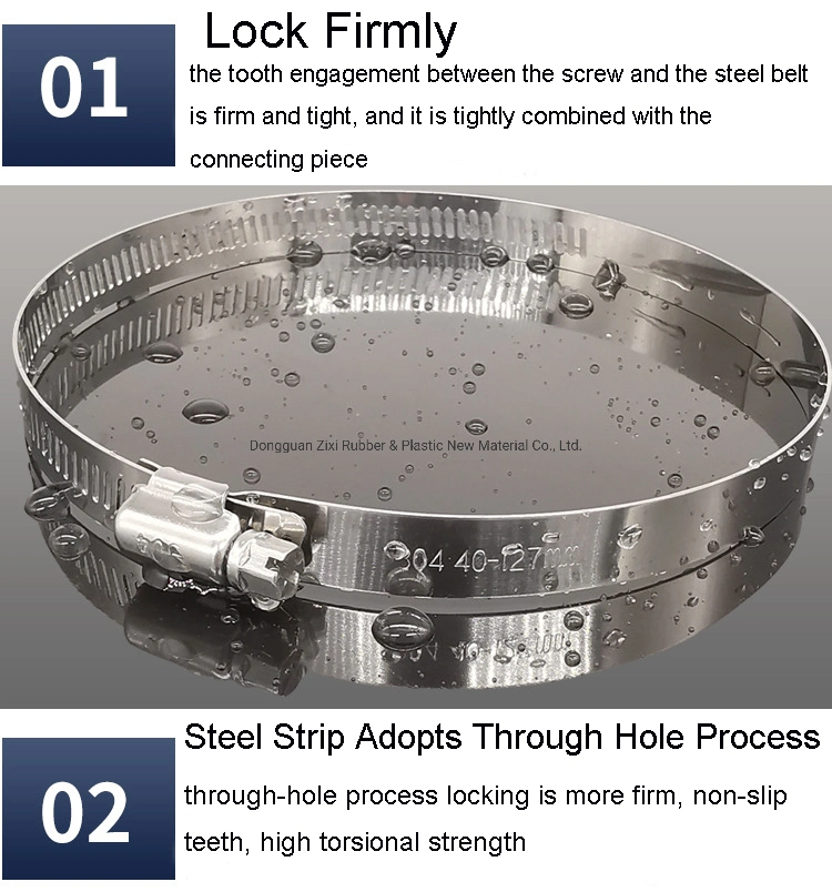 Stainless Steel Accuseal Exhaust Clamps Hydraulic Pipe Hose Clamp