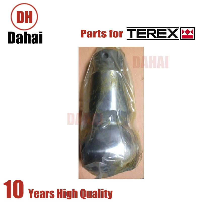 Dahai Japan Terex Bolt 179893 for Terex Tr100 Parts