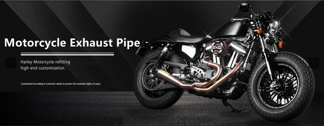 Factory Customized Steel Motorcycle Exhaust System for Pipe Silencing with Best Price