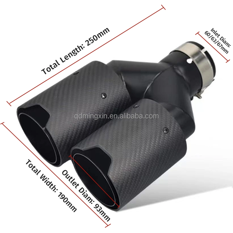 Performance Exhaust Dual Pipe Carbon Fiber for Car Accessories Muffler Modify for B*MW Automotive